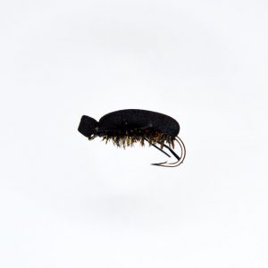 Beetle profile