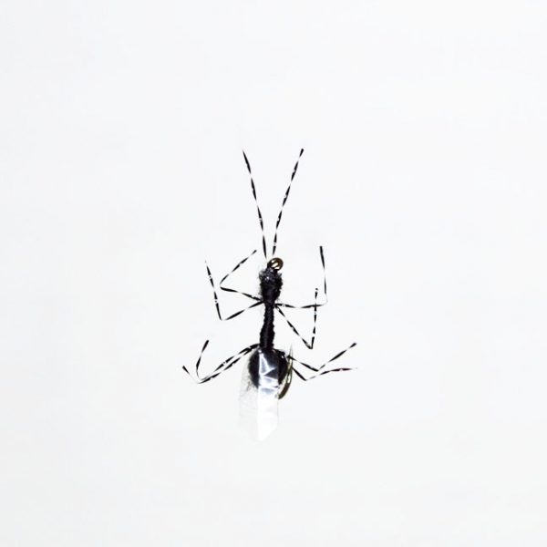 Realistic Ant Black PA